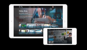 mockup simulador cvs